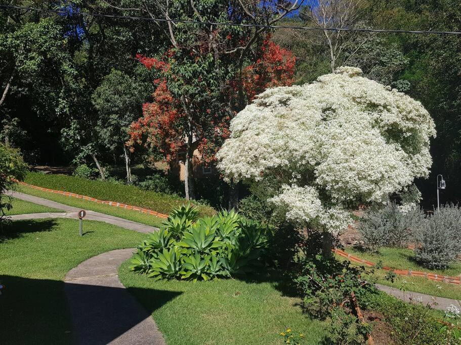 Recanto Dos Beija Flores, Chale Lantana B مونتي أليغري دو سول المظهر الخارجي الصورة